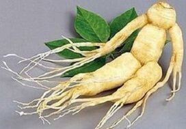 Fréamh Ginseng chun insileadh a dhéanamh